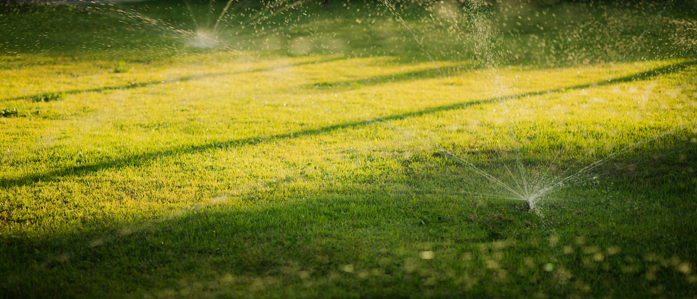 Sprinklers watering a green lawn in sunlight